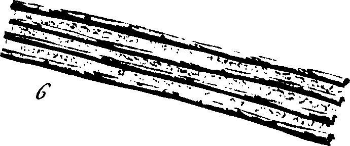102/102510020000240_0.png