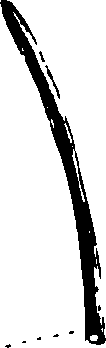 102/102510020000270_0.png