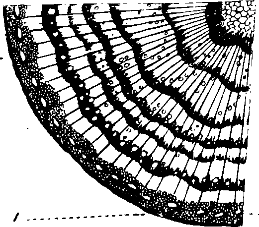 102/102510020000300_0.png
