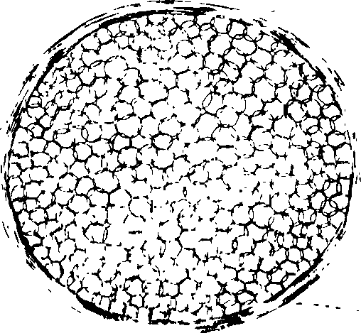 102/102510020000350_0.png