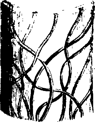 102/102510020000380_1.png