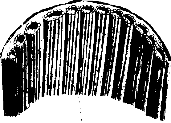 102/102510020000390_0.png