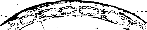 102/102510020000390_1.png