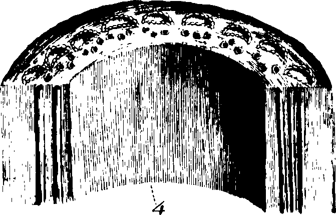 102/102510020000440_0.png