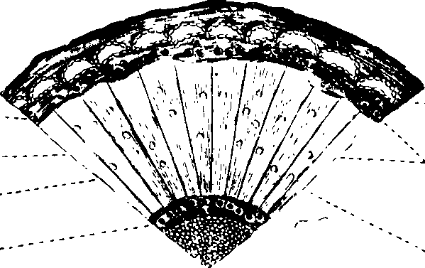 102/102510020000440_1.png