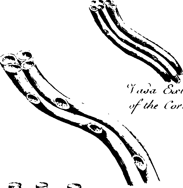 102/102510020000480_0.png