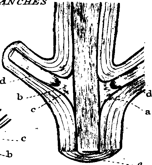 102/102510020000530_1.png