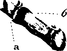 102/102510020000560_1.png