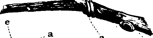 102/102510020000560_3.png