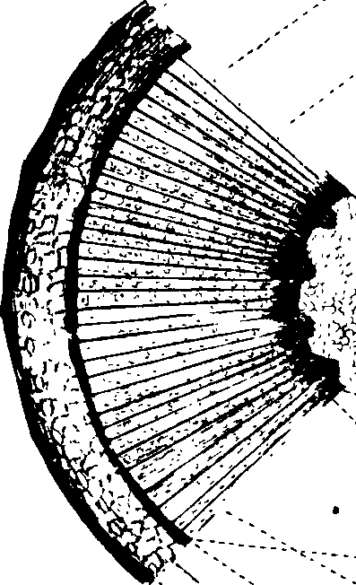 102/102510020000630_0.png