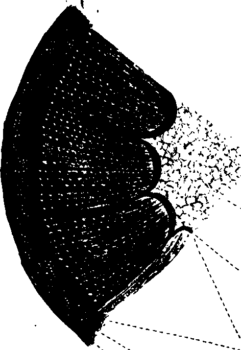 102/102510020000710_0.png