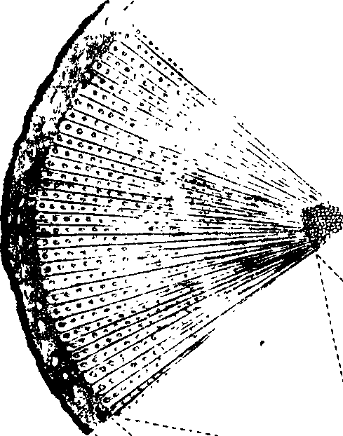 102/102510020000720_0.png