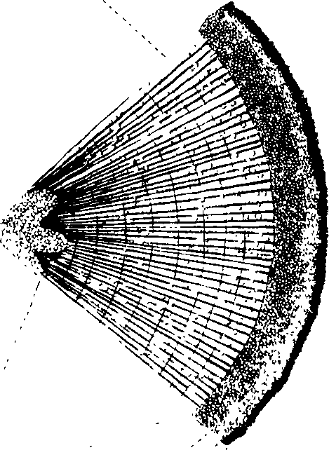 102/102510020000730_0.png