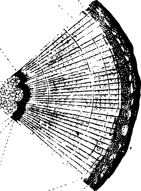 102/102510020000780_0.png