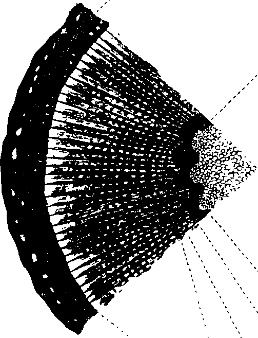 102/102510020000790_0.png