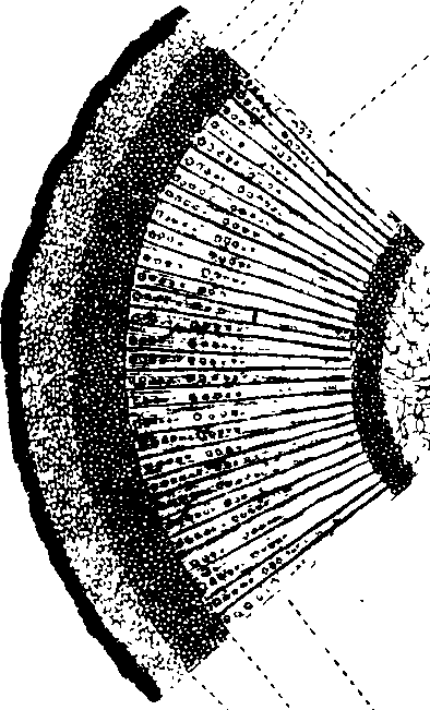 102/102510020000840_0.png
