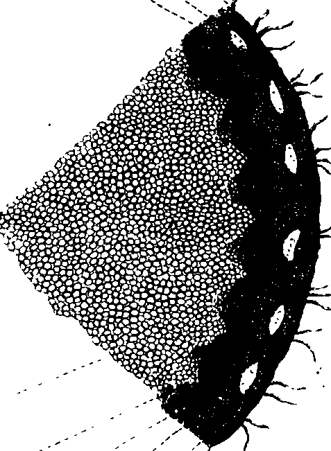 102/102510020000980_0.png