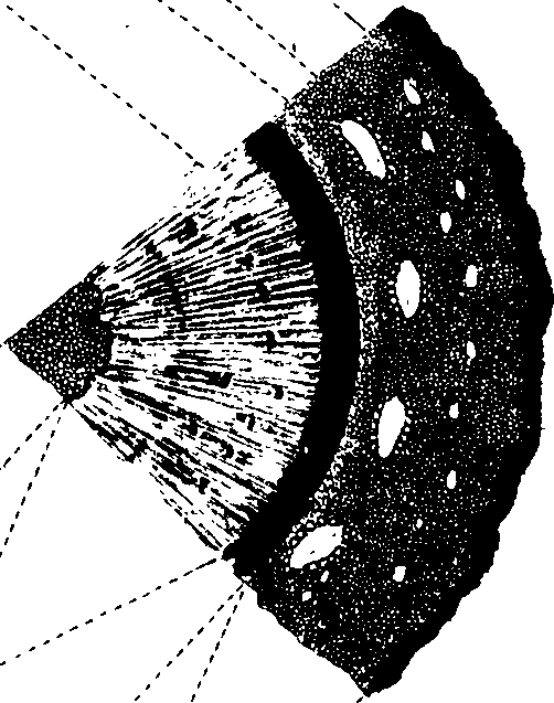 102/102510020000990_0.png