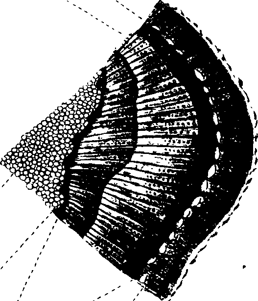 102/102510020001000_0.png