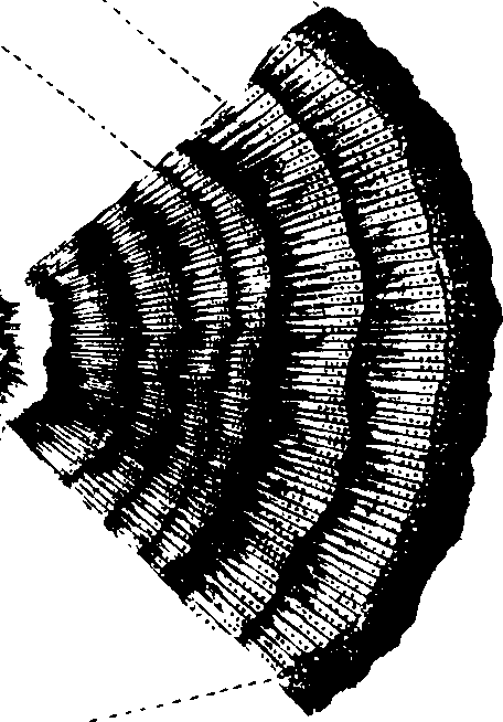 102/102510020001040_0.png