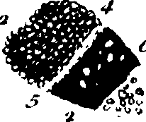 102/102510020001050_0.png