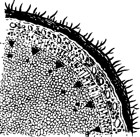 102/102510020001050_1.png