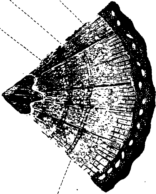 102/102510020001080_0.png