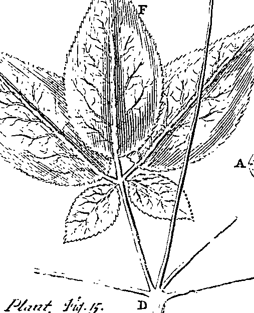 102/102530010202010_1.png