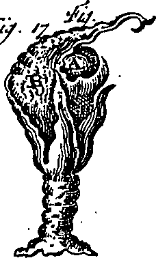 102/102530010202010_2.png