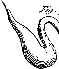 102/102530010202010_3.png