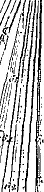 102/102530010206570_1.png