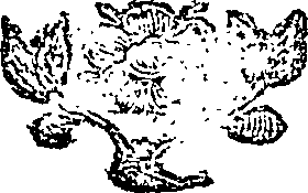102/102550040000180_0.png