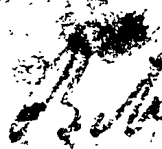 102/102570020000020_1.png