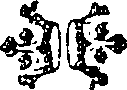 102/102580040000560_0.png