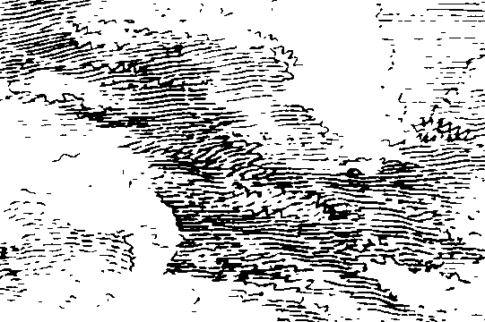 102/102640010200600_0.png