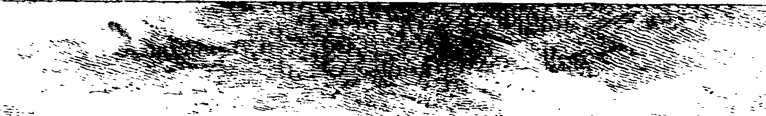 102/102640010303110_0.png