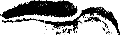 102/102660010100340_1.png