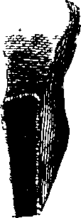 102/102660010100340_3.png
