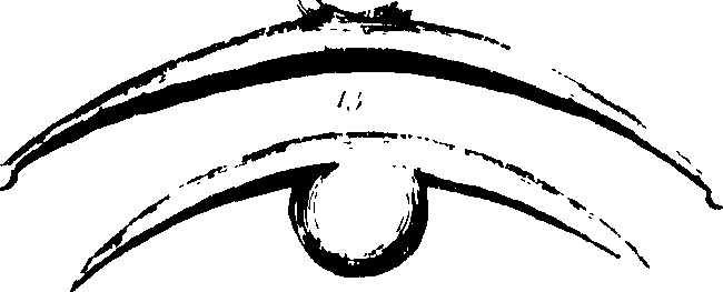 102/102660010100360_2.png
