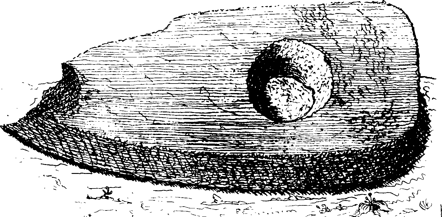 102/102660010100450_1.png