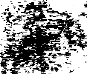 102/102660010104710_0.png