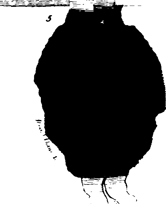 102/102660010105370_1.png