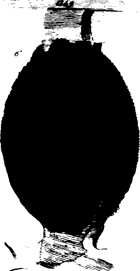 102/102660010105370_2.png