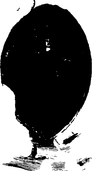 102/102660010105370_3.png