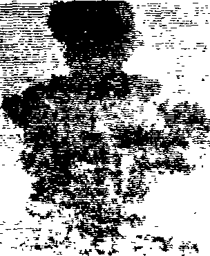 102/102660010200380_1.png