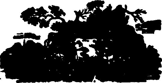 102/102660010201150_0.png