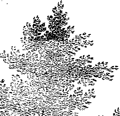 102/102660010201860_1.png