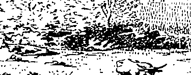 102/102660010202150_0.png