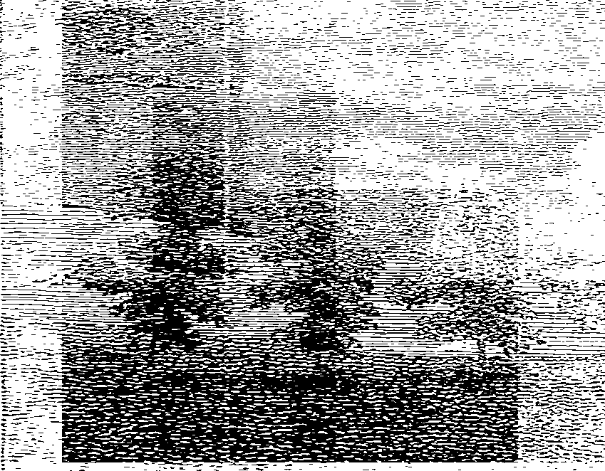 102/102660010203490_0.png