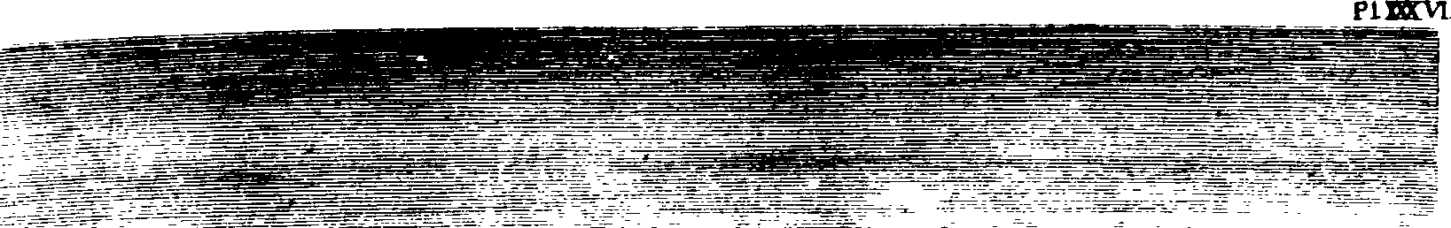 102/102660010203840_2.png